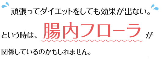 頑張ってダイエットをしても効果が出ない。という時は、腸内フローラが関係しているのかもしれません。