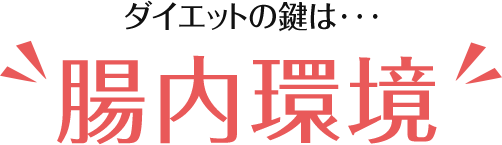 ダイエットの鍵は・・・腸内環境